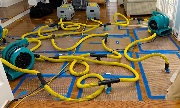 Professional Crawl Space Water Removal technician working in Modena, UT